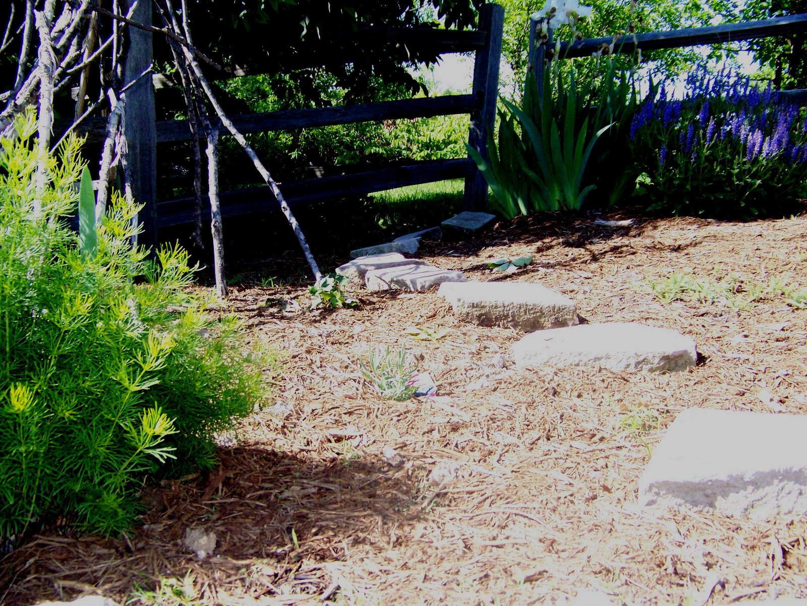 [Picture-035_web.jpg]