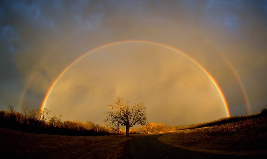 [rainbow.bmp]