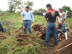 trabajando en la composta