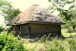 unusally decorated traditional  hut