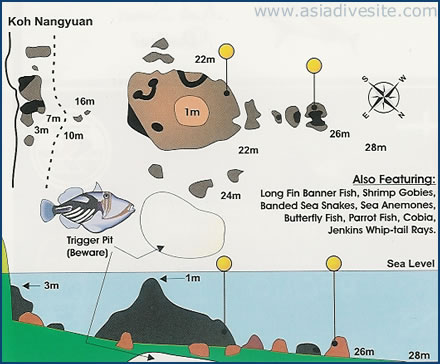 Bfp Forum 10 11 11 2020