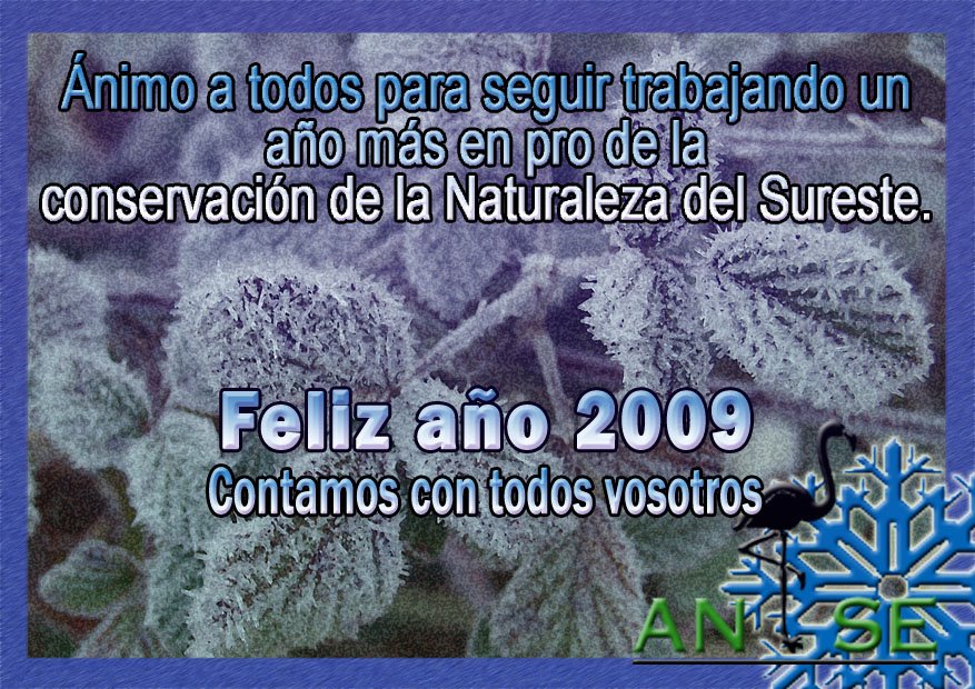 [postal4.jpg]