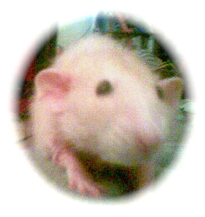 [Image064.jpg]
