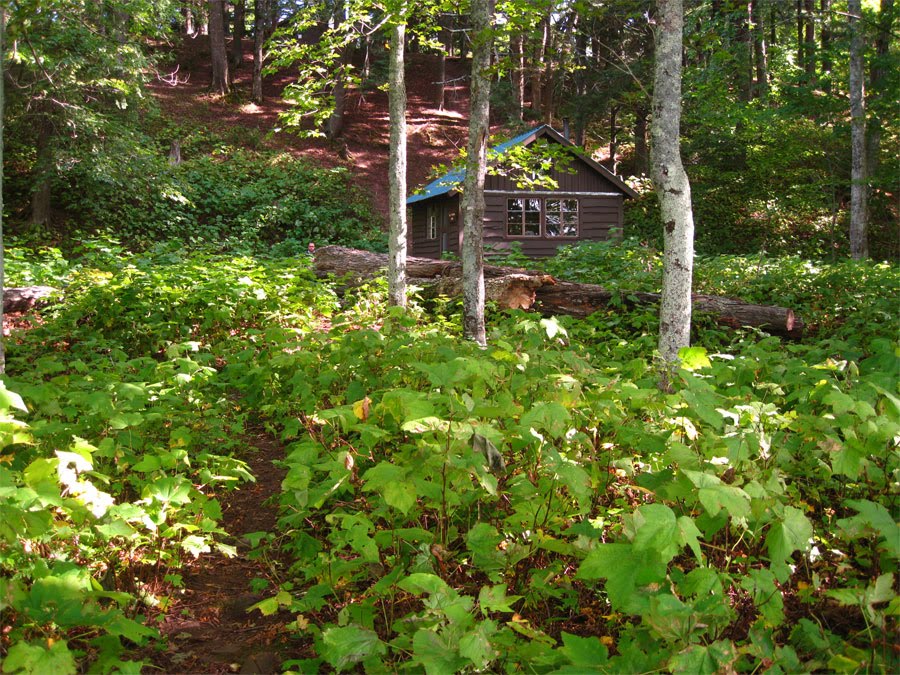 Black Coffee At Sunrise Porcupine Mountains Day Five
