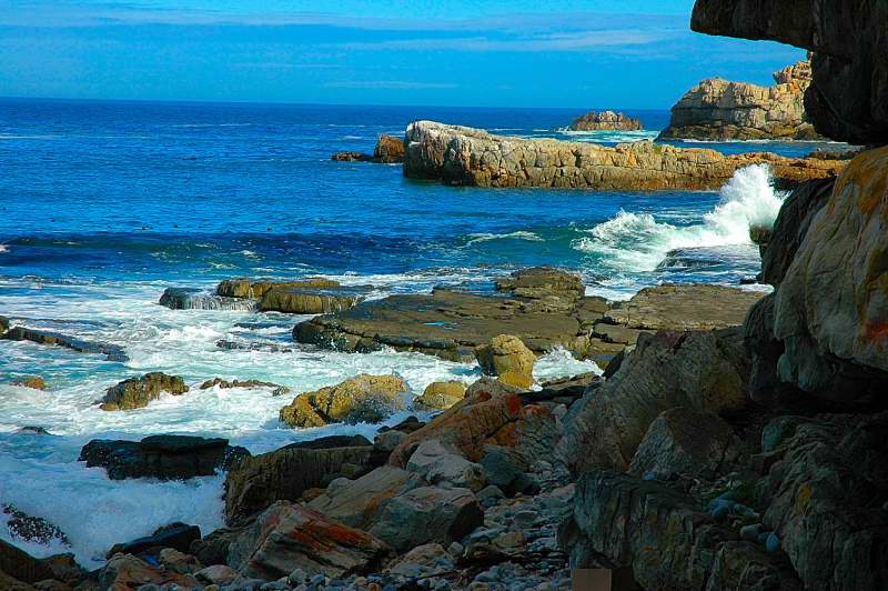 Hermanus South Africa our favorite holiday destination. Easy Cooking