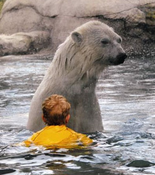 Durango Texas Going Swimming With The Polar Bears In Texas With