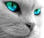 Bien Gata,