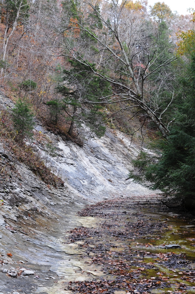 Outdoor Indiana Hidden Gem Pine Hills Nature Preserve