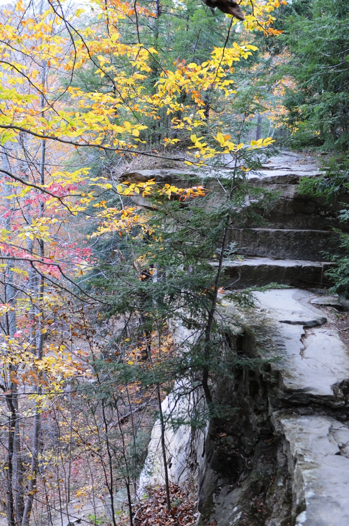 Outdoor Indiana Hidden Gem Pine Hills Nature Preserve
