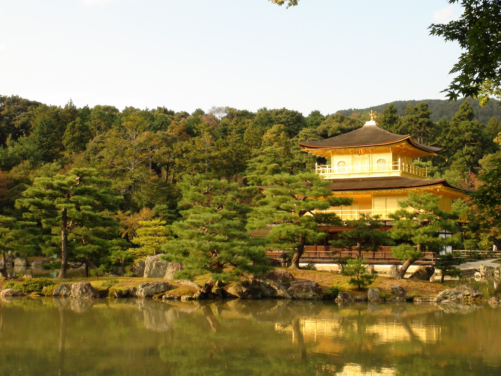 Una Gaviota en Japon El Pabellón Dorado o KinkakuJi en Kyoto ¡¡UNA