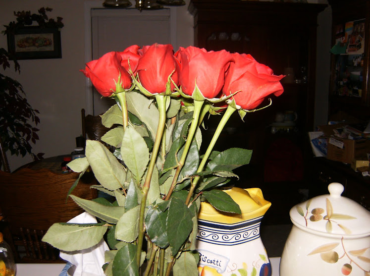 Roses my boyfriend gave me