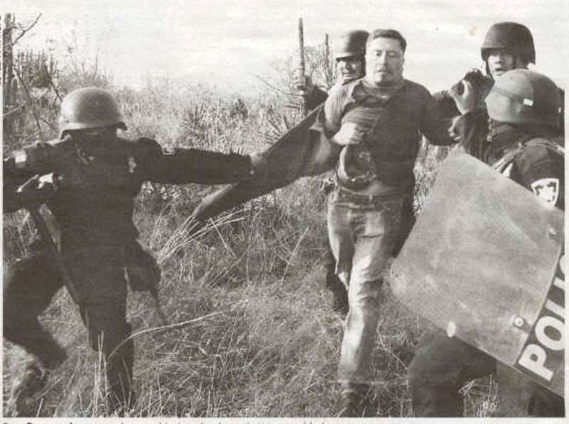 [13.jpg]
