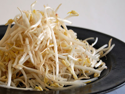 bean+sprouts3.jpg