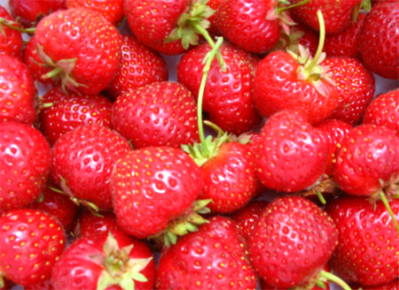 [yummy_strawberries.jpg]