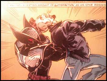 [shadowhawk2.jpeg]
