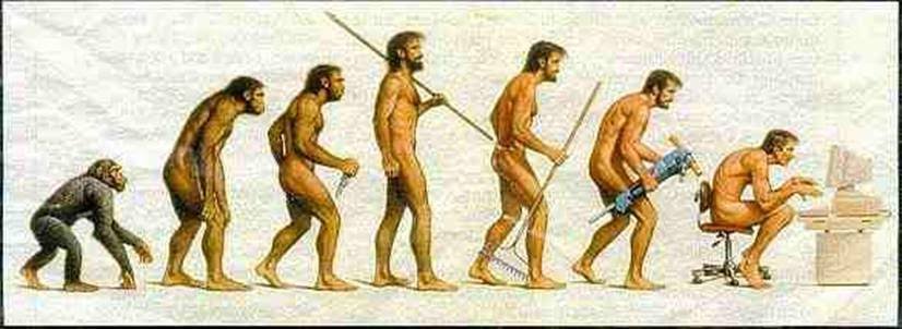 [evolution.bmp]