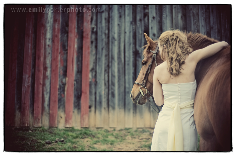 horse bride