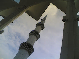 the tallest minaret in the world