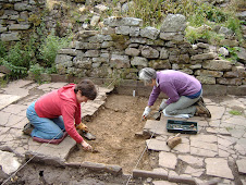 Diggers at Blaen-y-cwm in 2006