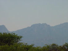 Paisaje de la UMA Paura