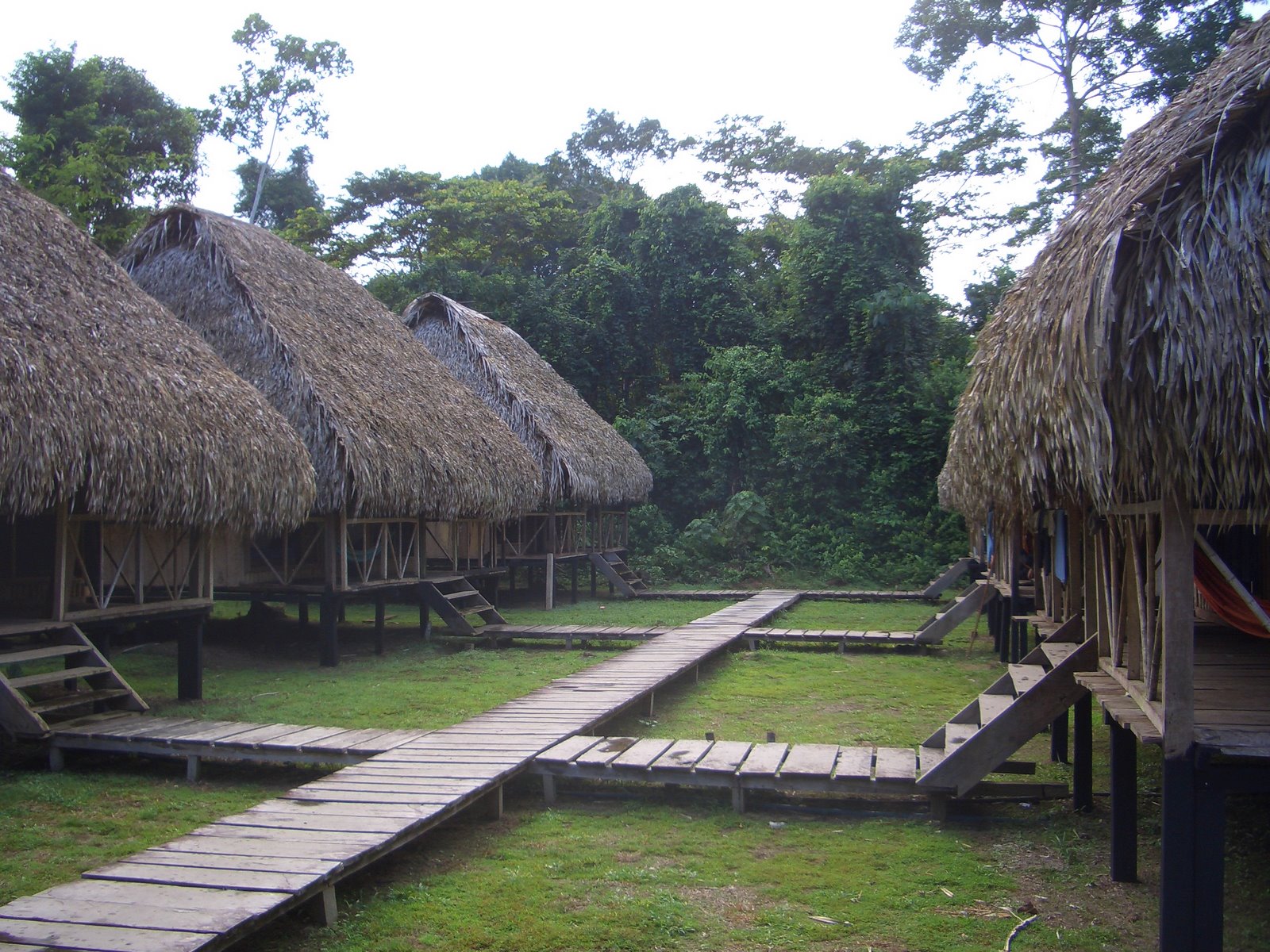 [CIMG0100.JPG]