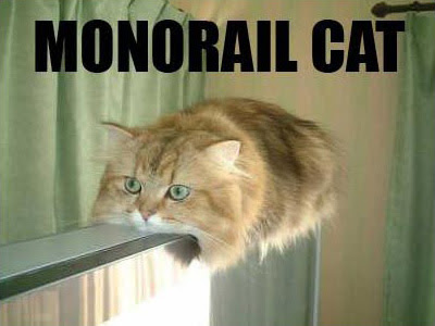 monorail-cat.jpg