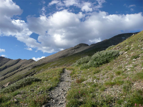 [cotrail_pic1.jpg]