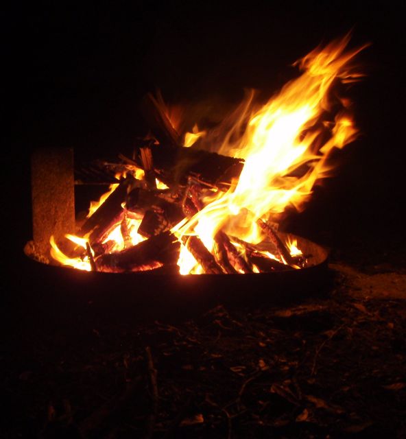 [fire2.jpg]