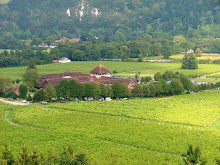 Denbies Vineyard, Surrey, England