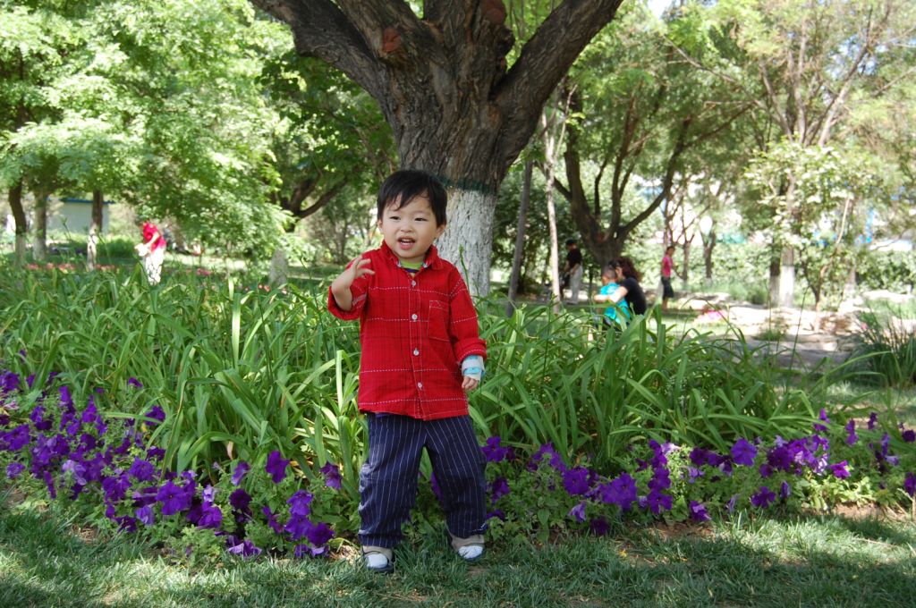 [DSC_0096.JPG]