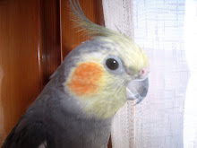Le mie foto