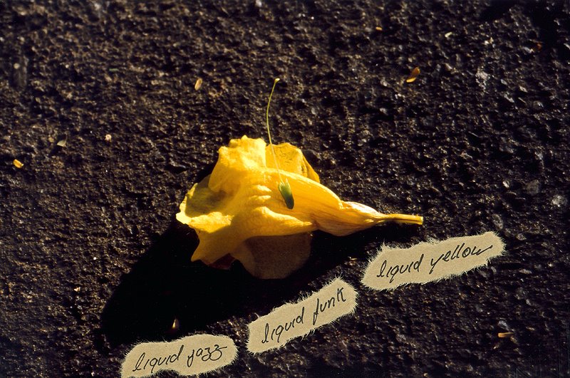 [Susana+-+No+ch&Atilde]