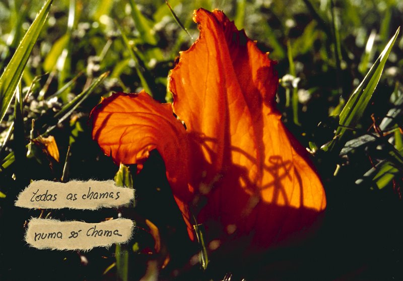 [Susana+-+No+ch&Atilde]