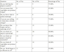 Survey Findings