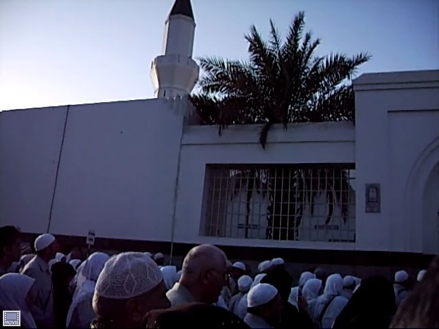 [ASF_0061.jpg]
