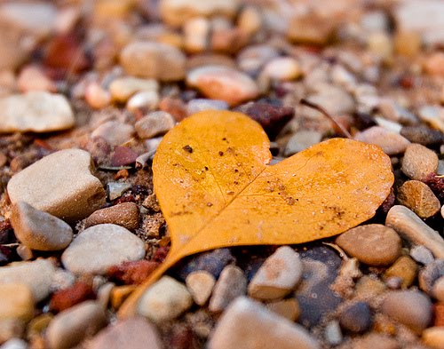 Arti Fell - Image Sites