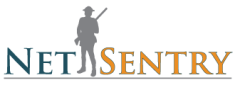 Packet Forensics Made Simple