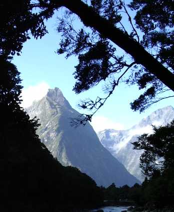 [Milford+Track+187a.jpg]