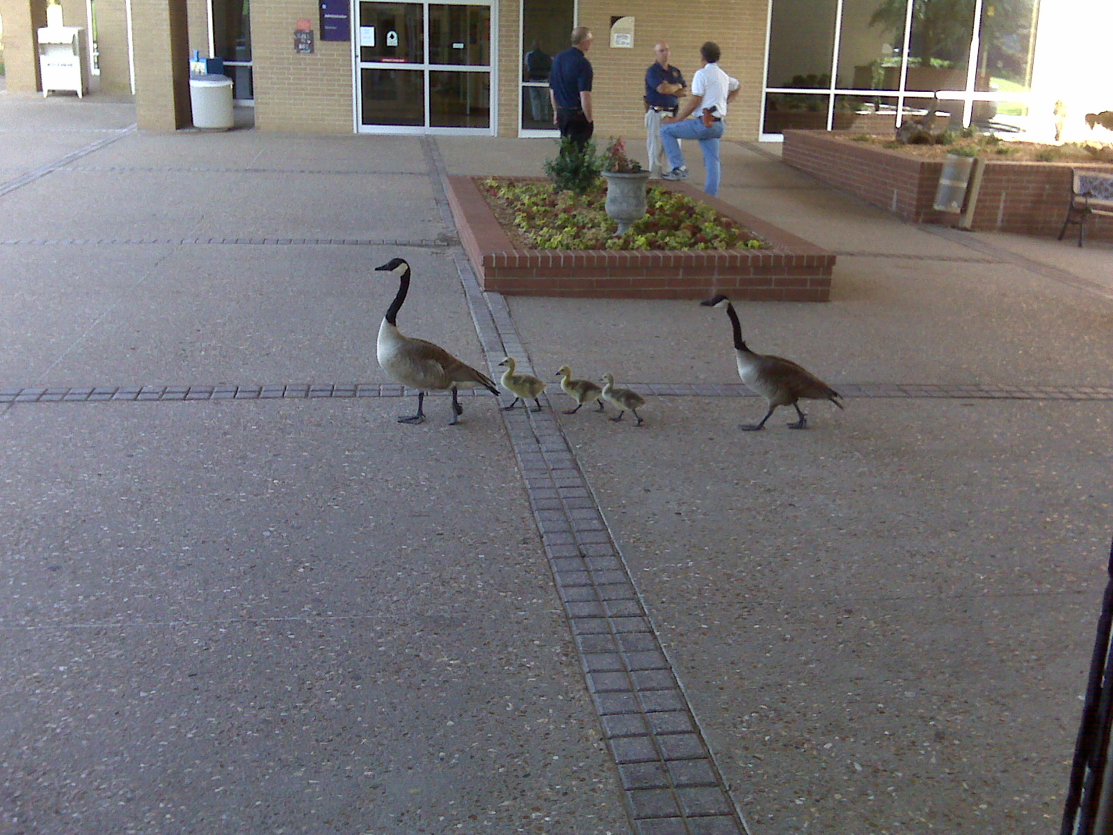 [=?Windows-1252?B?SU1HMDAwMjMuanBn?=-724551]