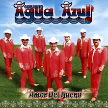 CONJUNTO AGUA AZUL CONTRATALO AQUI