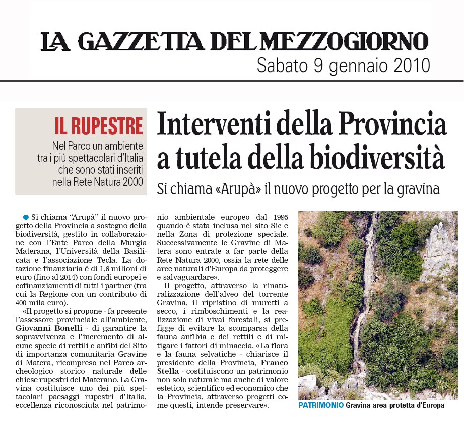 [ARUPA_+2010+gen10.jpg]