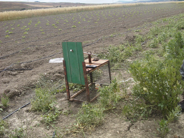 [trappola+grottole.png]