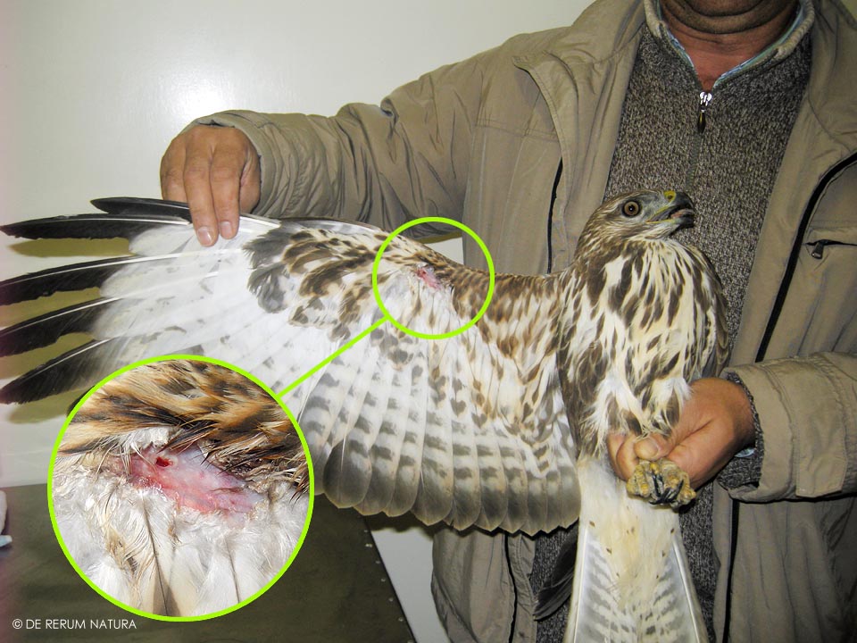 [elettrocuzione.jpg]