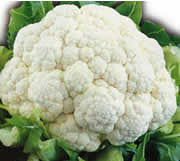 cavolfiore-ricette-cucina-polpette-di.jpg