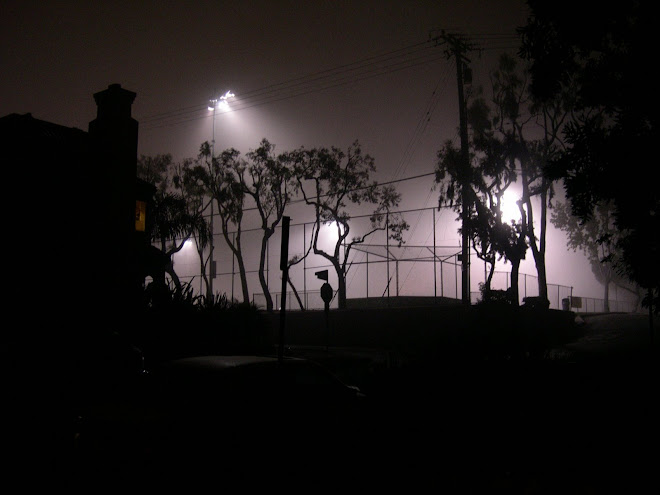 Grant Howald Park in Corona Del Mar: softball night or UFO landing