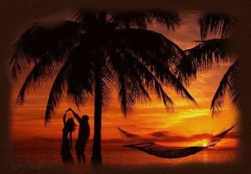 Soja True Love