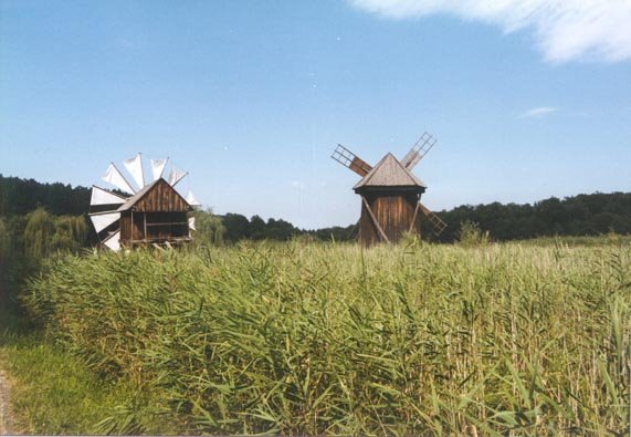 Dobrogea%2B-%2Bhomepage.jpg