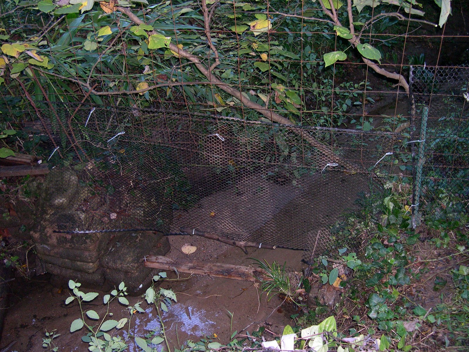 [DSCN0011.JPG]