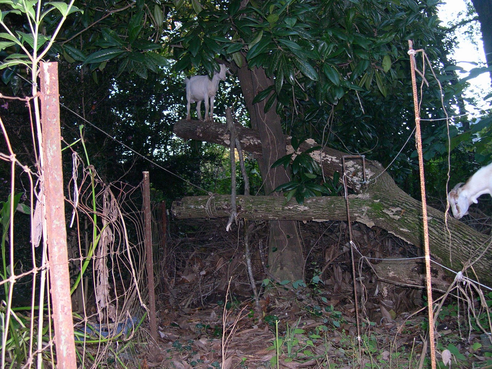 [DSCN0003.JPG]