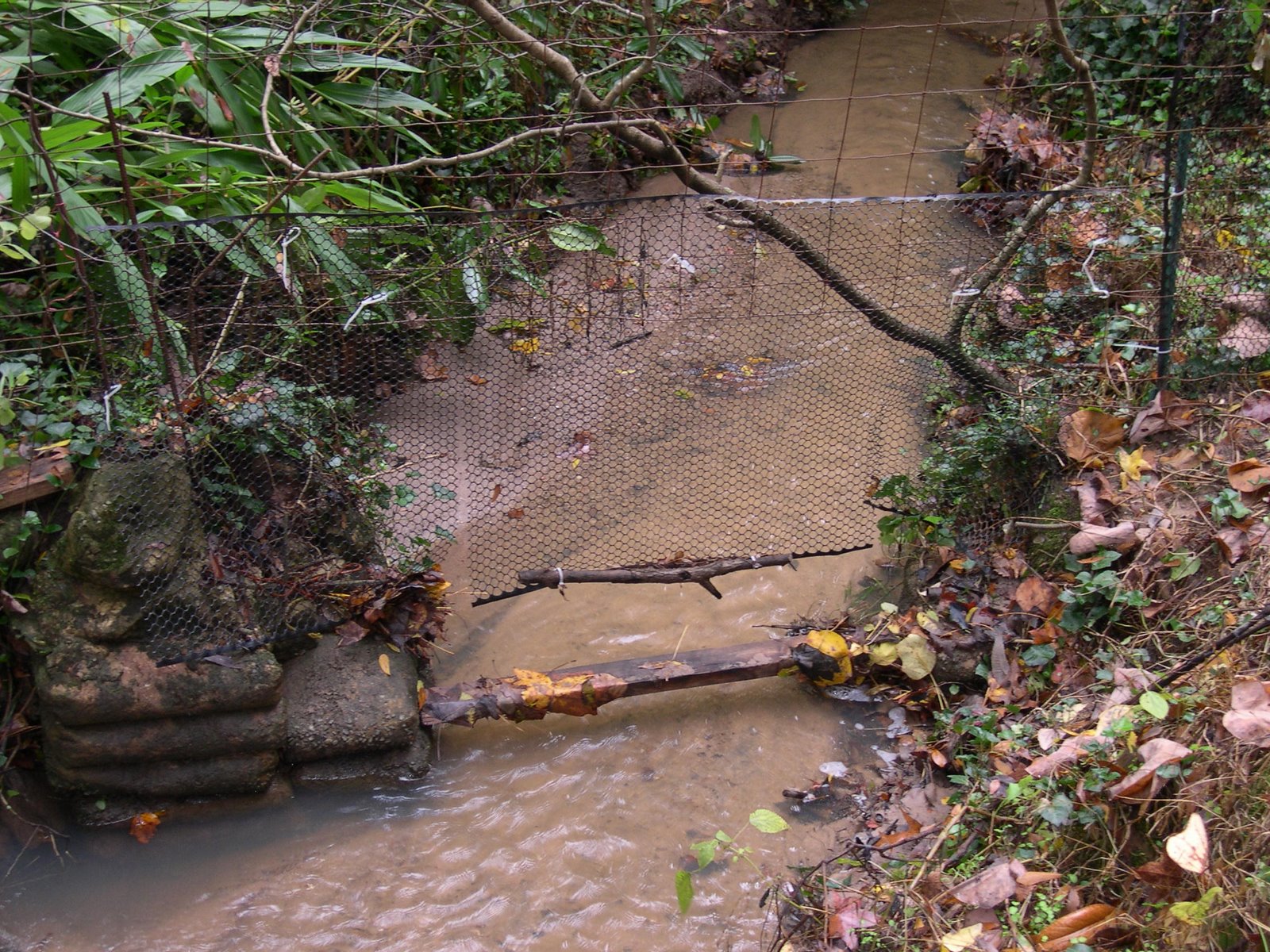 [DSCN0005.JPG]